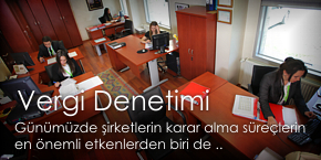 Vergi Denetimi